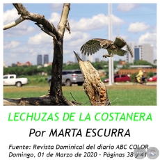 LECHUZAS DE LA COSTANERA - Por MARTA ESCURRA   